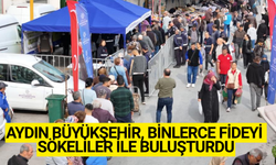 Büyükşehir'den kışlık fide desteği