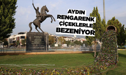 Büyükşehir, Aydın'ı kendi ürettiği çiçeklerle donatıyor!