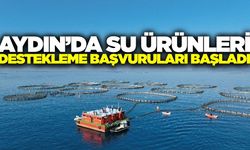 Aydın'da yetiştiricilere uyarı! Son tarihi kaçırmayın