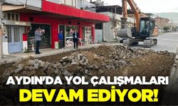Aydın'da yol çalışmaları hız kazandı!