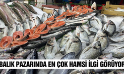 Tavşanlı Balık Pazarı'nda hamsi bereketi!