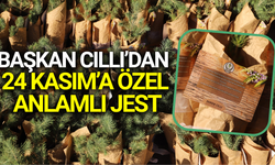 Saruhanlı 750 öğretmene çam fidanı hediyesi!