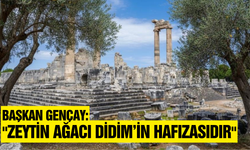 Başkan Hatice Gençay; "Zeytin ağacı Didim’in simgesidir"