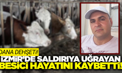 İzmir'de dananın kafa darbesi can aldı!