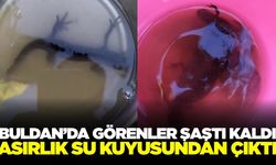 Buldan'da su kuyusundan öyle bir canlı çıktı ki...