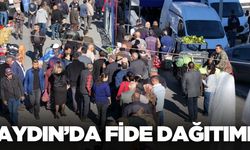 Aydın'da kışlık fide dağıtımına yoğun ilgi