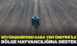 Büyükşehir’den hayvancılığa destek