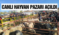 Şuhut canlı hayvan pazarı yeniden canlandı
