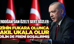Cumhurbaşkanı Erdoğan'dan CHP Lideri Özel'e sert sözler