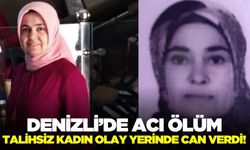 Denizli'de ağaç budamak isteyen kadın, hayatını kaybetti