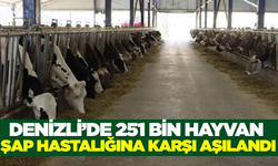 Denizli'de şap hastalığına karşı tedbirler sürüyor!