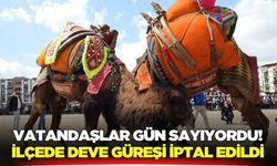 Buldan'da Deve Güreşi heyecanı yarıda kaldı!