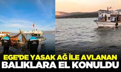 Ege'de balıklara el konuldu!