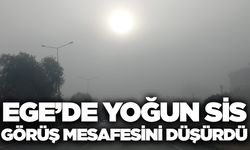 Aydın'da yoğun sis hayatı olumsuz etkiledi