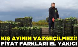 Kış aylarının vazgeçilmezi: Kilosu 6 TL