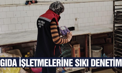 Söke'de gıda işletmeleri mercek altında!