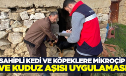 Hayvan sağlığını koruma çalışmaları sürüyor