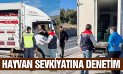 Aydın'da denetimler sürüyor