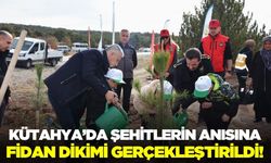 Kütahya'da şehitler için fidan dikildi!