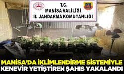 Manisa'da operasyon: Kenevir yetiştiren şüpheli yakalandı