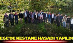 Kaymakam Kan, hasada ortak oldu!