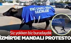 İzmir'de okul sahibinden dikkat çeken hareket