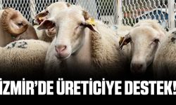 İzmir'de küçükbaş hayvancılığa büyük destek