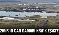 İzmir'de kuraklık alarmı! Su seviyesi geçen yıla göre 10 kat geriledi
