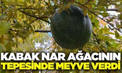 Buldan'daki manzara görenleri şaşırttı