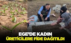 Ege'de üreticilere salep fidesi dağıtıldı