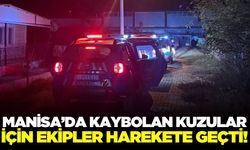 Alaşehir’de kaybolan kurbanlık kuzular ekipleri harekete geçirdi