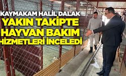 Sarıgöl Kaymakamı hayvan bakım hizmetlerini yerinde inceledi