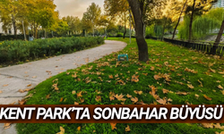 Kent Park'ta renk cümbüşü!