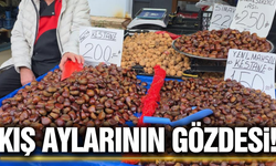 Kış aylarının vazgeçilmezi Simav kestanesi tezgahlarda!