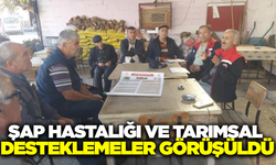 Koçarlı'da ekipler, hastalıklarla mücadele ve destekler için sahada