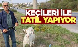 Köy hayatını özleyince keçi yetiştiriciliğine başladı
