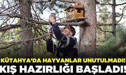 Ege'de sincap ve kuşlar için kış hazırlıkları başladı