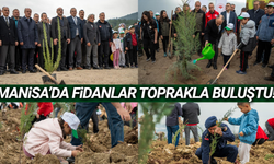 Manisa'da 35 bin fidan toprakla buluştu!