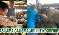 Manisa'da aşılama çalışmaları hız kesmiyor!