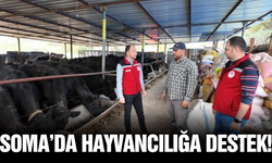 "Kırsalda Destek" projesiyle Soma'da üreticinin yüzü gülüyor!
