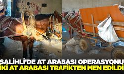 Salihli'de at arabalı hırsızlara operasyon