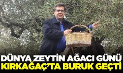 Kırkağaç'ta Dünya Zeytin Ağacı Günü buruk geçti