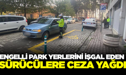 Manisa'da jandarmadan engelli park yerlerine denetim
