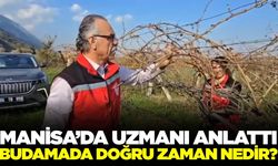 Manisa'da meyve bahçelerinde budama hangi zamanda yapılmalı?