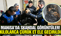 Manisa'da skandal: Kilolarca çürük tavuk etine el konuldu