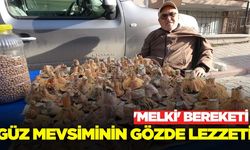 Ege'de 'Melki' bereketi