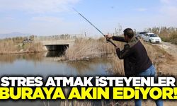 Şehir stresinden kaçmak isteyenlerin yeni gözdesi!