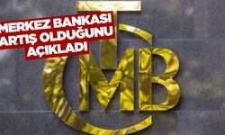Merkez Bankası'ndan sevindiren açıklama