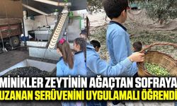 Ege'de minik öğrenciler zeytinin yolculuğunu inceledi