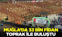 Muğla'da binlerce fidan toprak ile buluştu